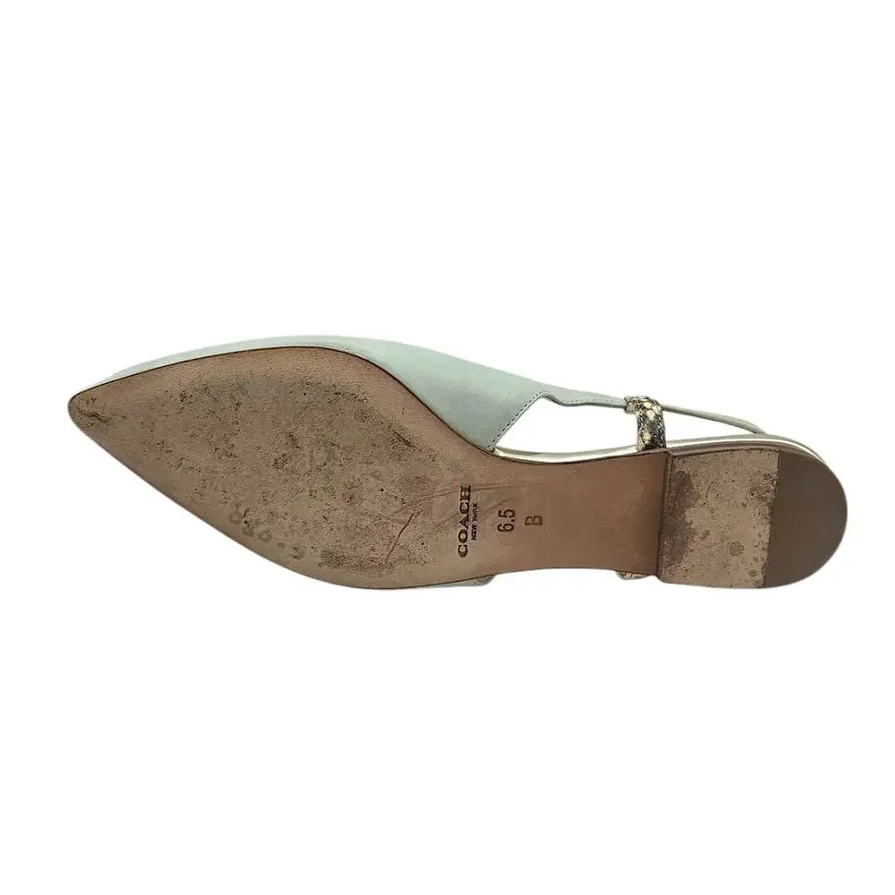 Coach Wooster Blue Green Snakeskin Leather Slingback Pointed Toe Flats - Picture 11 of 11